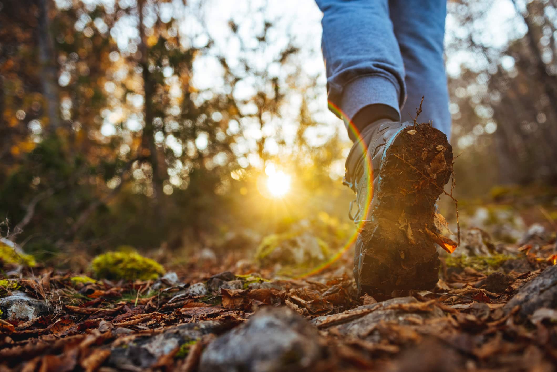 Illustrasjonsfoto av person på tur i skogen