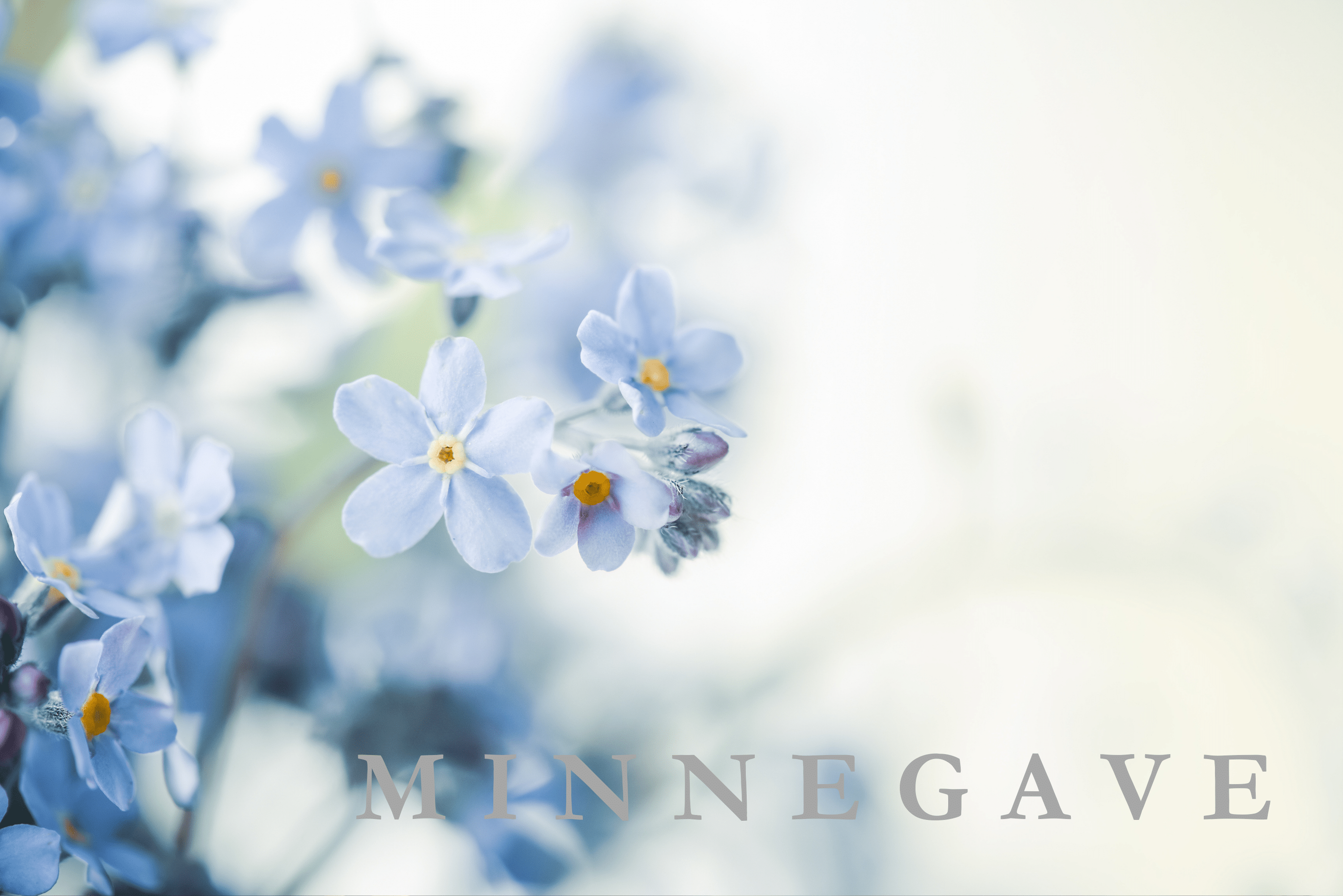 Minnegave – en siste hilsen med mening