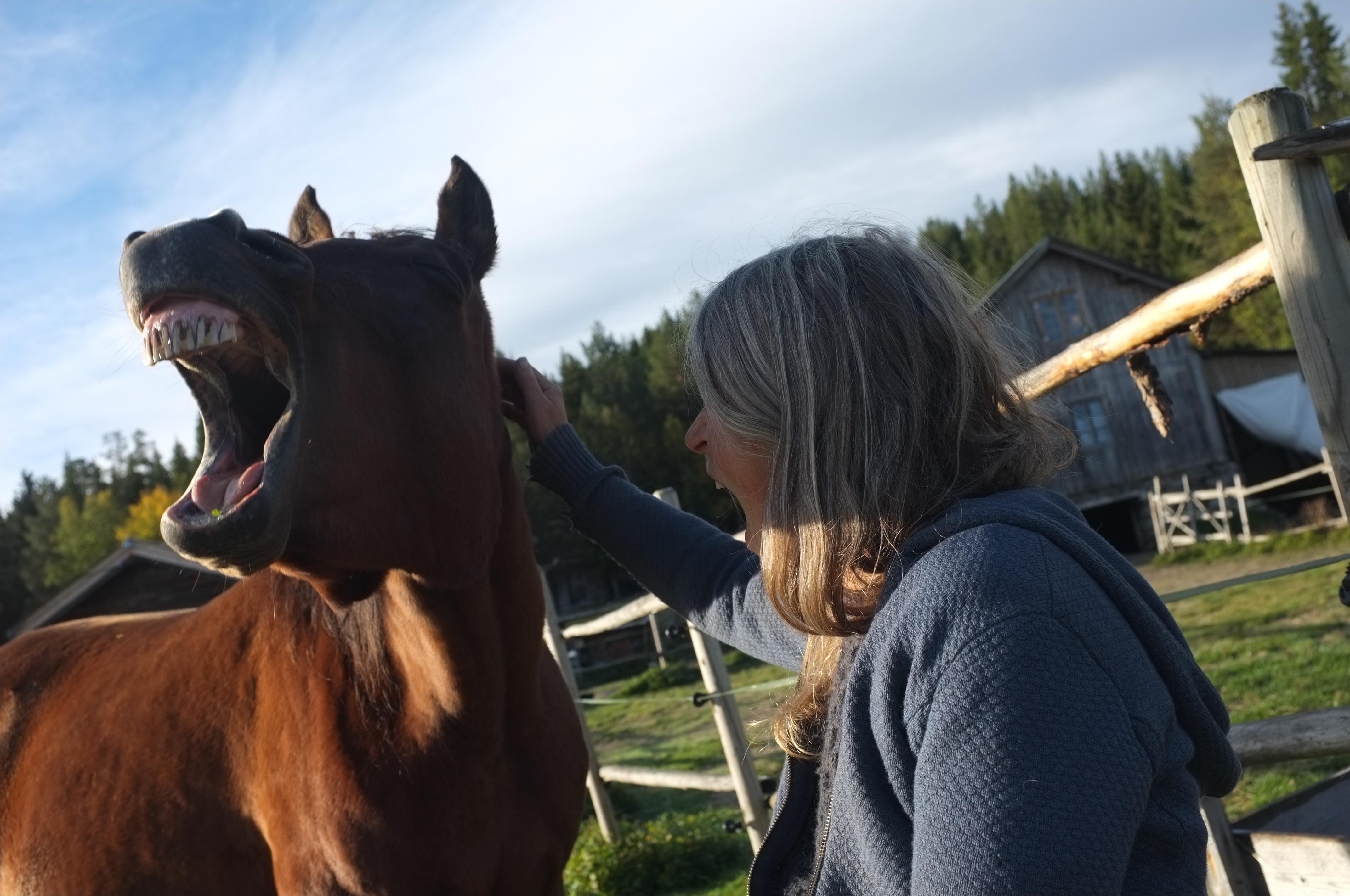 bilde av en Tina Buddeberg og en hest som gjesper samtidig