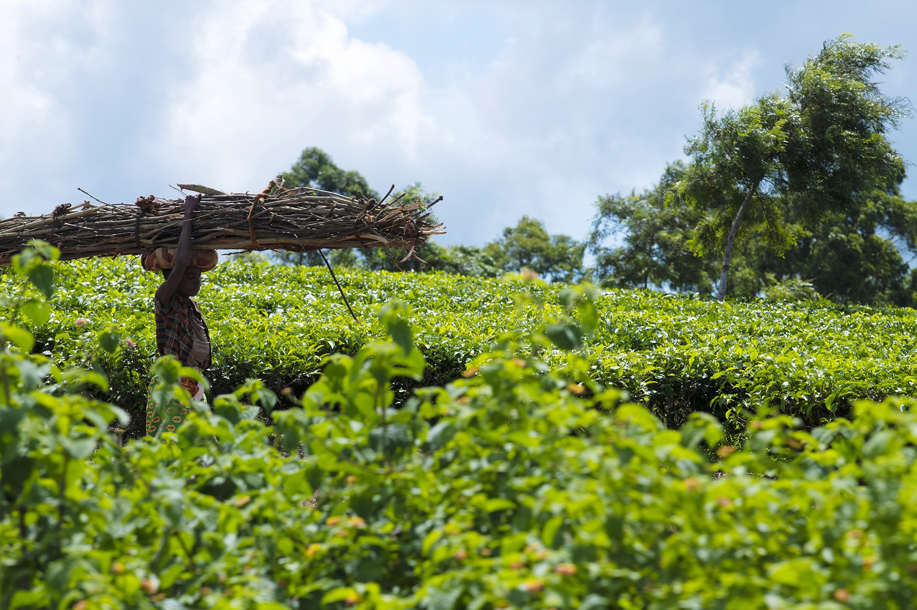 Malawi: Flere selvmord med pandemien